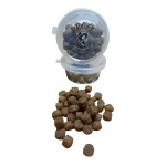 whatsapp_image_2025-03-31_at_11_00_58_675617936